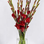 Red Gladiolus Beauty In A Vase