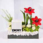 Dkny Womens Watch Gift Tray For Her