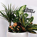 Retirement Wishes Plants Garden