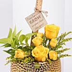 Roses and Money Plants For Teacher