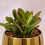 Happy Diwali Blessing Plant