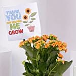 Thank You Plant And Diary For Teacher