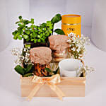 Tea and Plant Gift Hamper