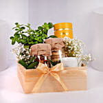 Tea and Plant Gift Hamper