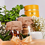 Tea and Plant Gift Hamper