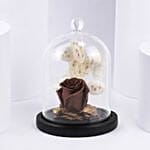 Brown Forever Rose In Glass Dome