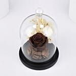 Brown Forever Rose In Glass Dome