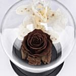 Brown Forever Rose In Glass Dome