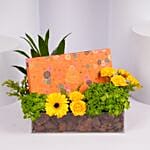 Venchi Murrine Giftbox Cremino And Gianduiotto Chocolates 246G