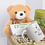 Bear Hugs Get Well Soon Hamper