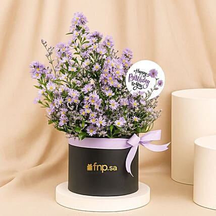 Birthday Wishes Aster Flowers Black Box: 