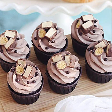 Delicious Chocolate Cupcakes: Cakes To Dhahran