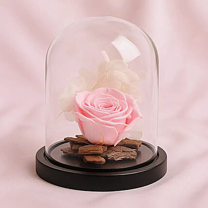 Graceful Pink Forever Rose: Send Flowers to Saudi Arabia