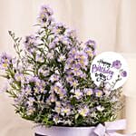 Birthday Wishes Aster Flowers Black Box