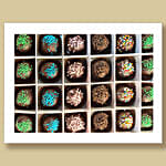 Cakepops Chocolate 36 Pcs