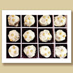 Cakepops Vanilla 9 Pcs