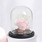 Eternal Pink Rose N MomS Delight Cake