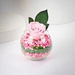 Forever Pink Rose Fish Bowl