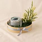 Graduation Mini Cake N Artificial Flowers Round Box