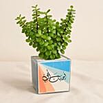 Jade Plant FatherS Gift Ceramic Pot