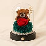 Teddy N Forever Rose Glass Dome