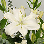 White Oriental Lilies In Vase