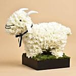 Eid Al Adha Wishes White Floral Goat Arrangements