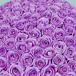 99 Purple Roses Bouquet For Valentine