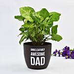 Awesome Dad Syngonium Plant