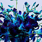 Beautiful Orchids Glass Vase Arrangement