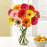 Blooming Mixed Gerberas Vase