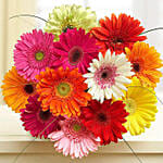 Blooming Mixed Gerberas Vase