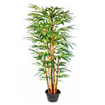 Buddha Bamboo Plant Pot