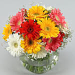 Classy Mix Of Gerbera Blossoms