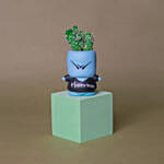 Echeveria & Cactus Quirky Boy Pots