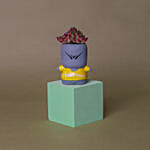 Echeveria & Cactus Quirky Boy Pots