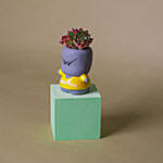 Echeveria Succulent Quirky Boy Pot