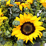 For Eternal Sunshine Of My Love