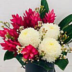 Ginger Lilies And Delistar Box