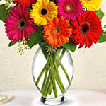 Heavenly Multicoloured Gerberas In a Glass Vase