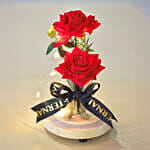 Led Red Forever Roses in Dome