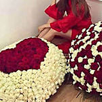 Love For Blooming Roses