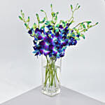 Mesmerizing Blue Orchids