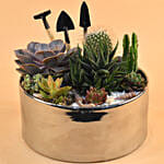 Mini Succulent Garden Container