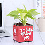 Money Plant In Lucky To Have You Glass Pot Hand Delivery