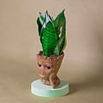 Sansevieria I Am Groot Pot