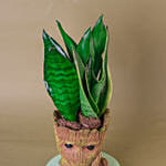 Sansevieria I Am Groot Pot