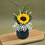 Sunflower & Baby Breath Designer Vase