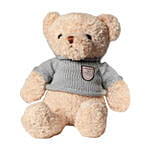 Syngonium Plant Red White Teddy