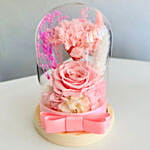 Vday Pink Forever Roses in Dome